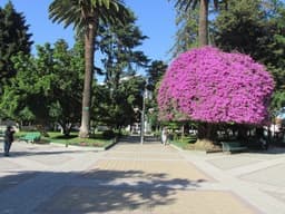 Imagen de Plaza de Armas
