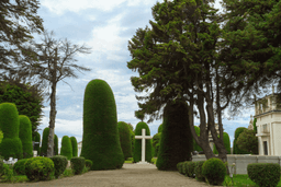 Imagen de Cementerio Municipal
